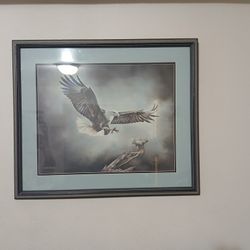 Framed Prints