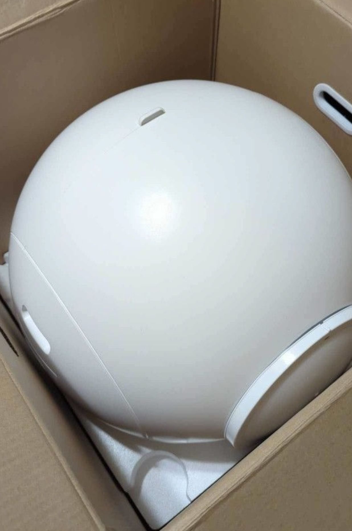 Self-Cleaning Litter Box