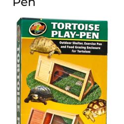 Tortoise play Pan Turtle
