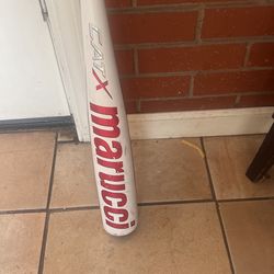 Cat X Baseball Bat