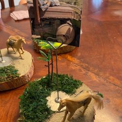 Cowgirl/boy Centerpieces