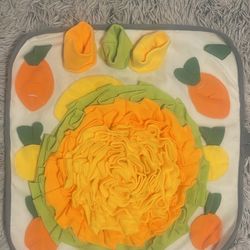 dog toy sniffing carpet