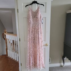 Dress Brand New Never Used Blushed Pink With Gold 
