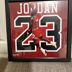 Michael Jordan Vintage Collection