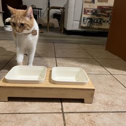 Pet Food Bowls 