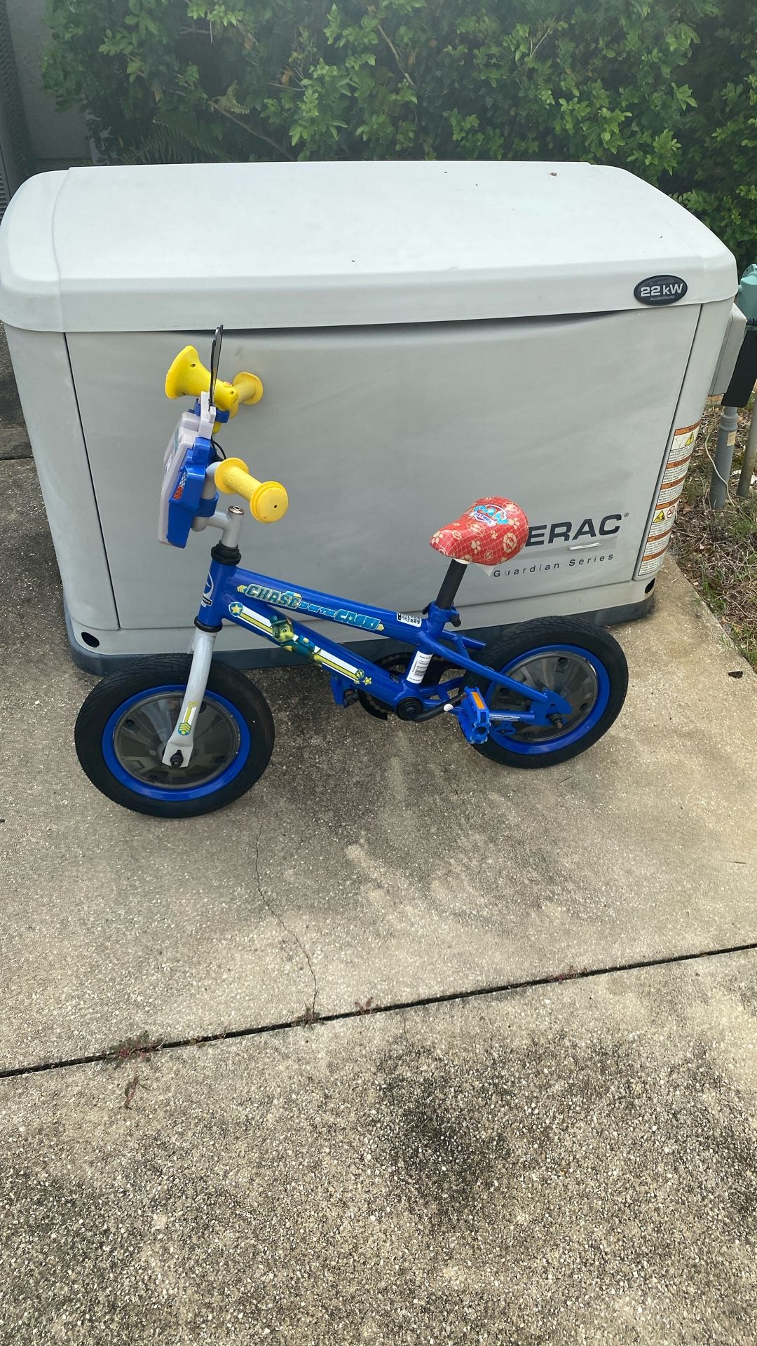 Paw Patrol Bike