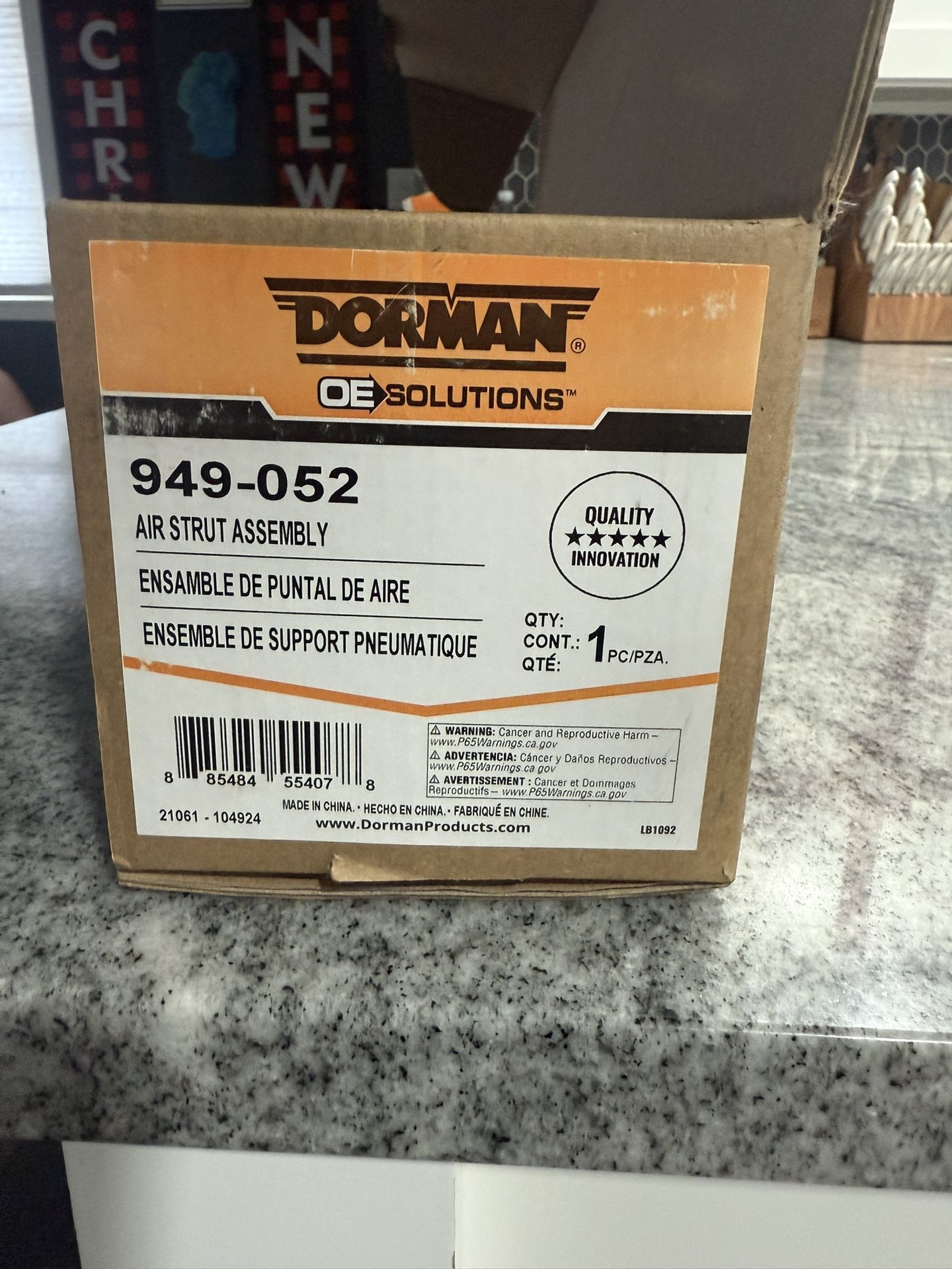 Rear Air Strut Assembly