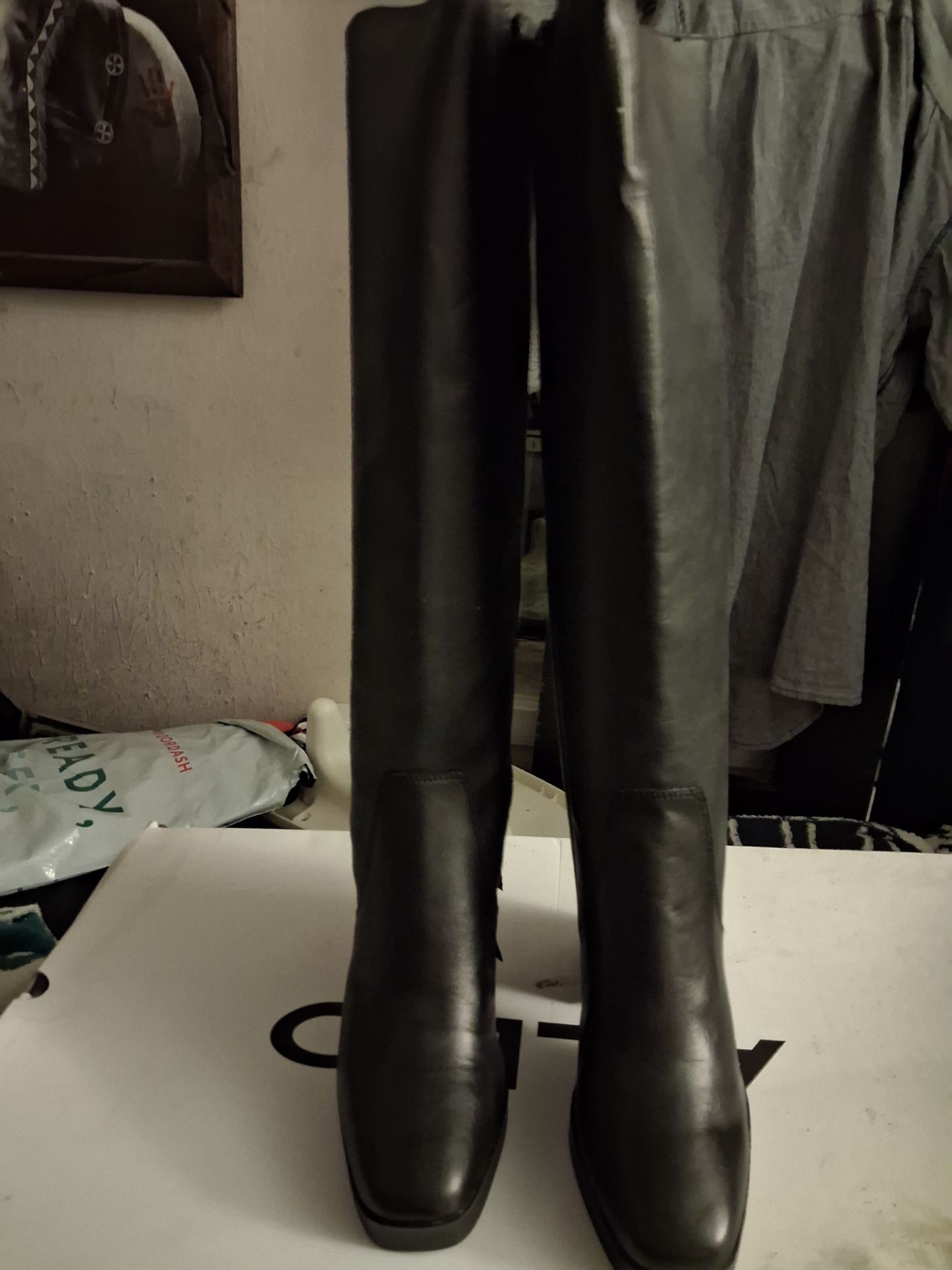 Aldo Elyze knee-high boots