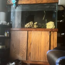 70 Gallon Aquarium 
