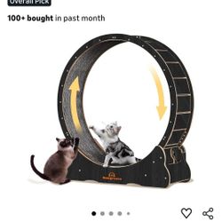 Cat Wheel 