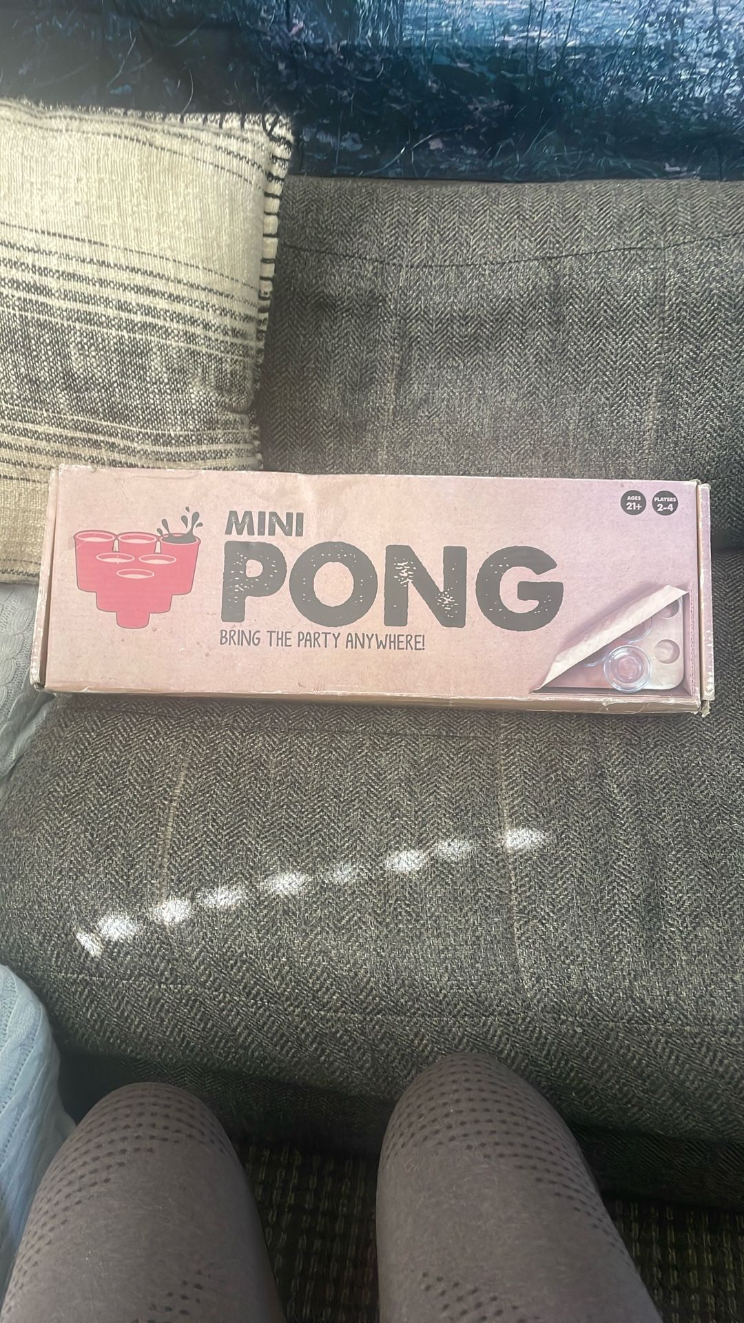 Mini Pong Game