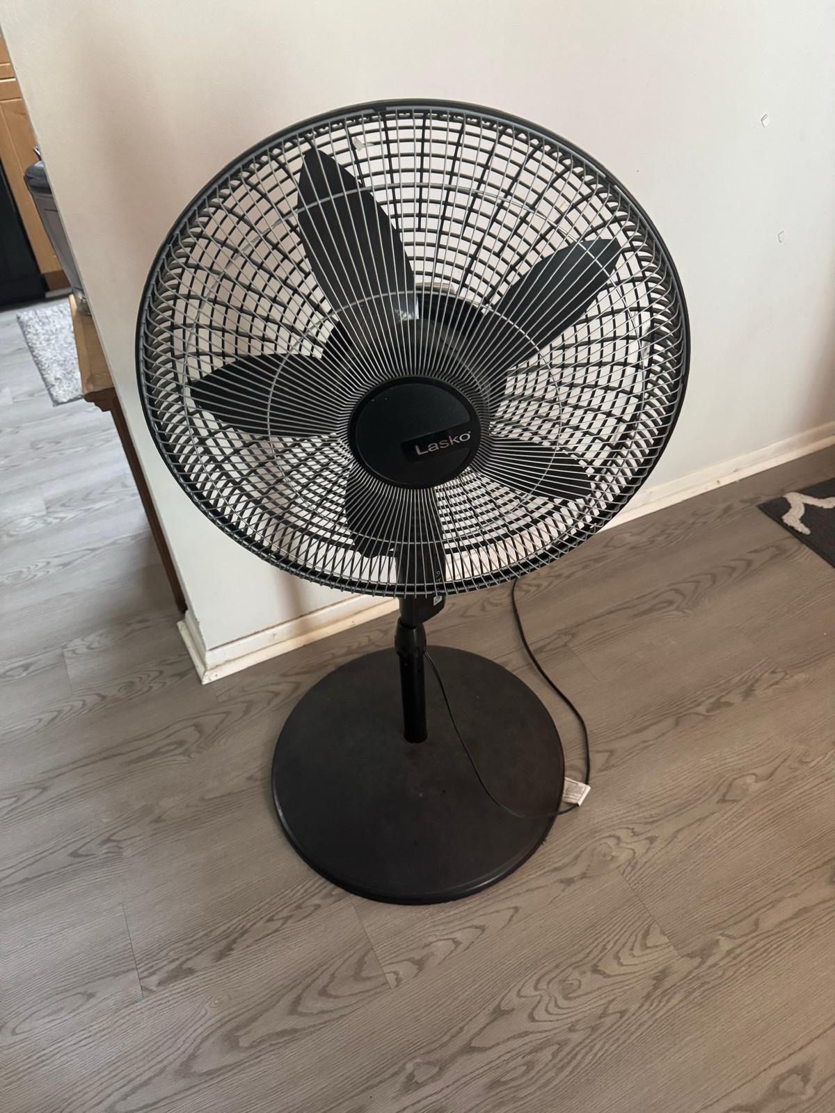 3 fans
