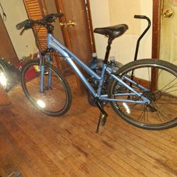 Schwinn/28 Bike