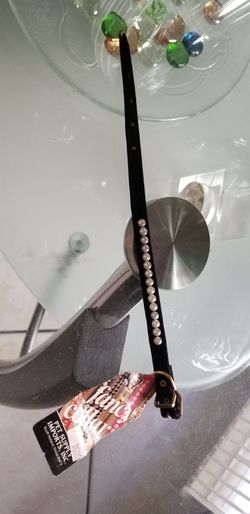 Fancy collar