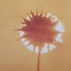 Coldplay "YELLOW" LIMITED EDITION Very RARE