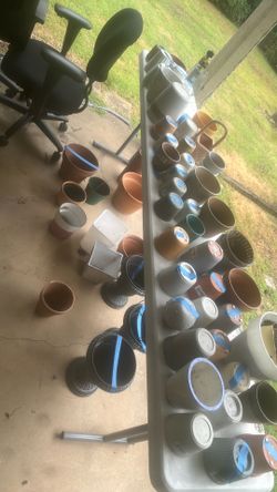 Pot of a dollar each take all of them for 20 bucks