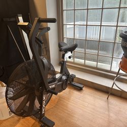 Rogue Echo Bike