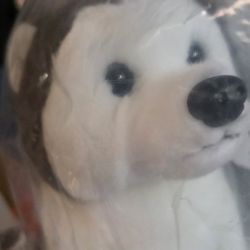 Vintage Nanook Ty Beanie Buddy