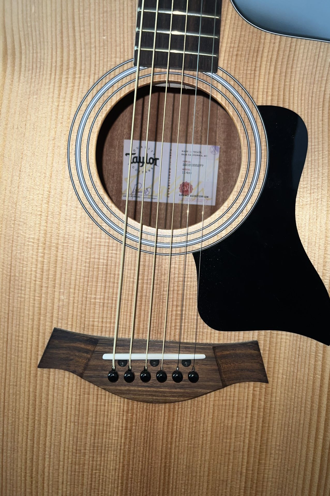 Taylor Guitar
