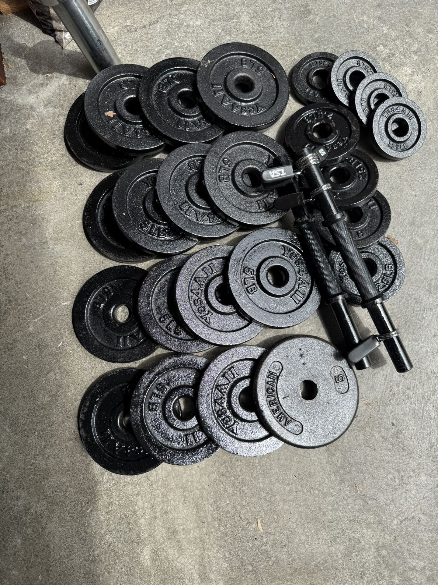 Dumbbells Weights
