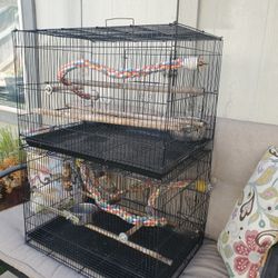 2 Bird Cages 