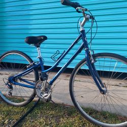 Giant cypress St hybrid