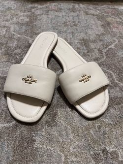 White and gold coach slides