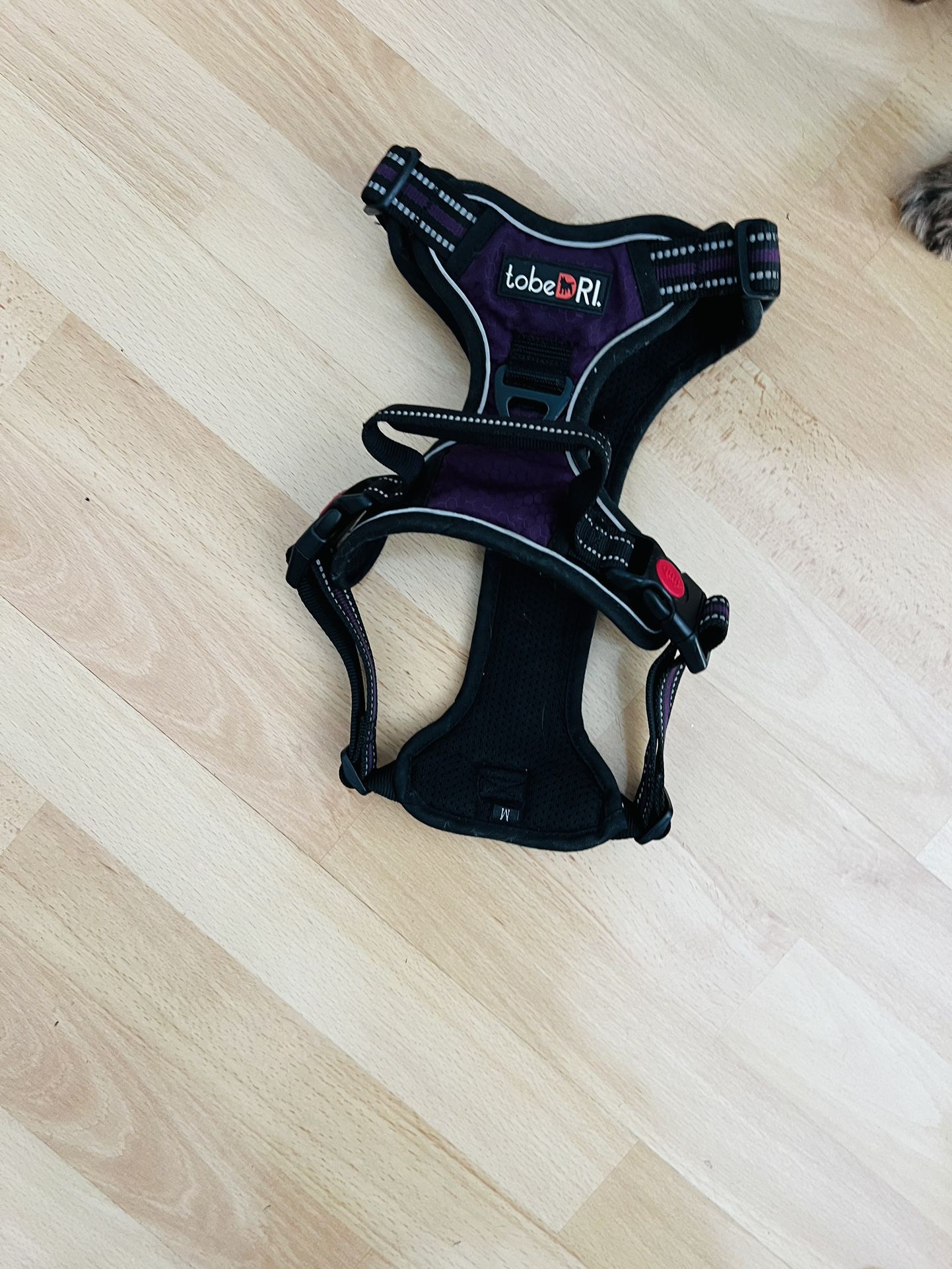 Medium Purple Dog Harness