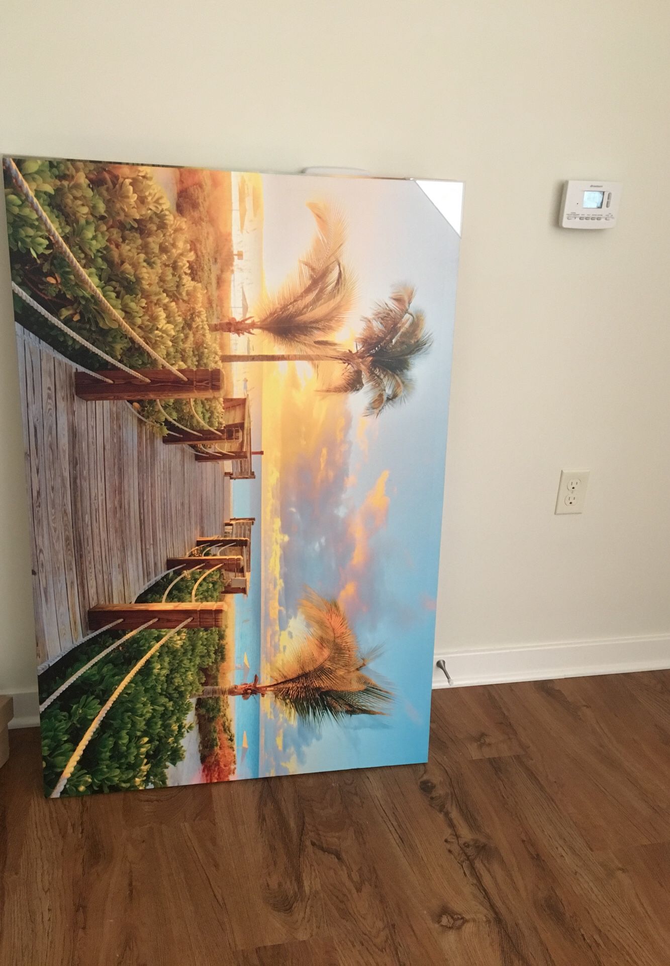 Two canvas pictures