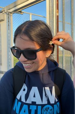 Raybans Polarized