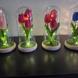 Led Tulip Flower Domes