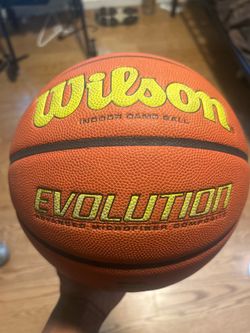 Wilson Evolution Basketball