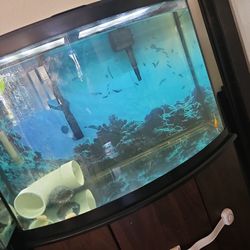 35 Gal Fish Tank 