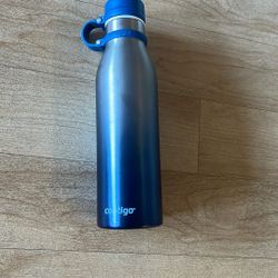 Stainless Steel Water Bottle 