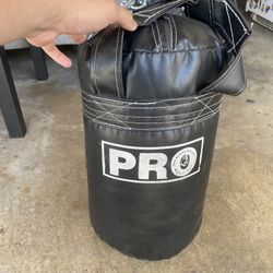 Pro Speed Bag