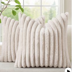 Set Of 2 Decorative Pillow Covers
