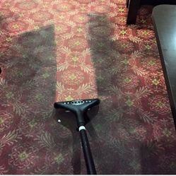 Carpet Cleaner