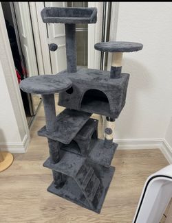 New Cat activity set