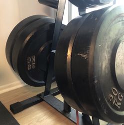 45lbs Bumper Plates (x4)