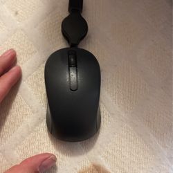 Mouse 