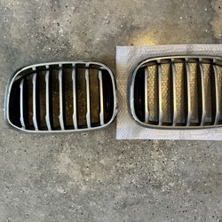 BMW X3 2020 Kidney Grills