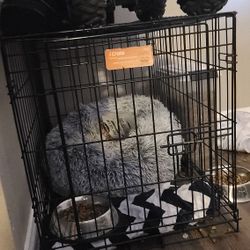 Dog Crate Medium