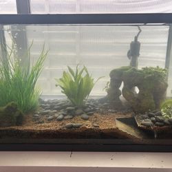 Fish Tank