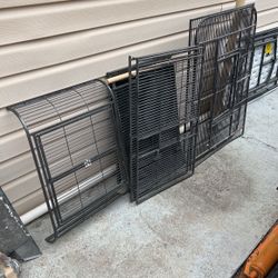 Birdcage
