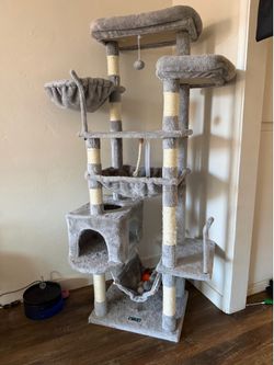 Cat Perch