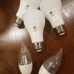 LED Light Bulbs