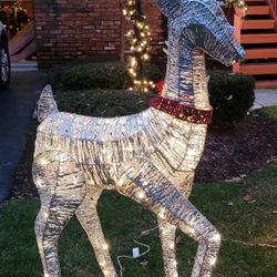 Reindeer