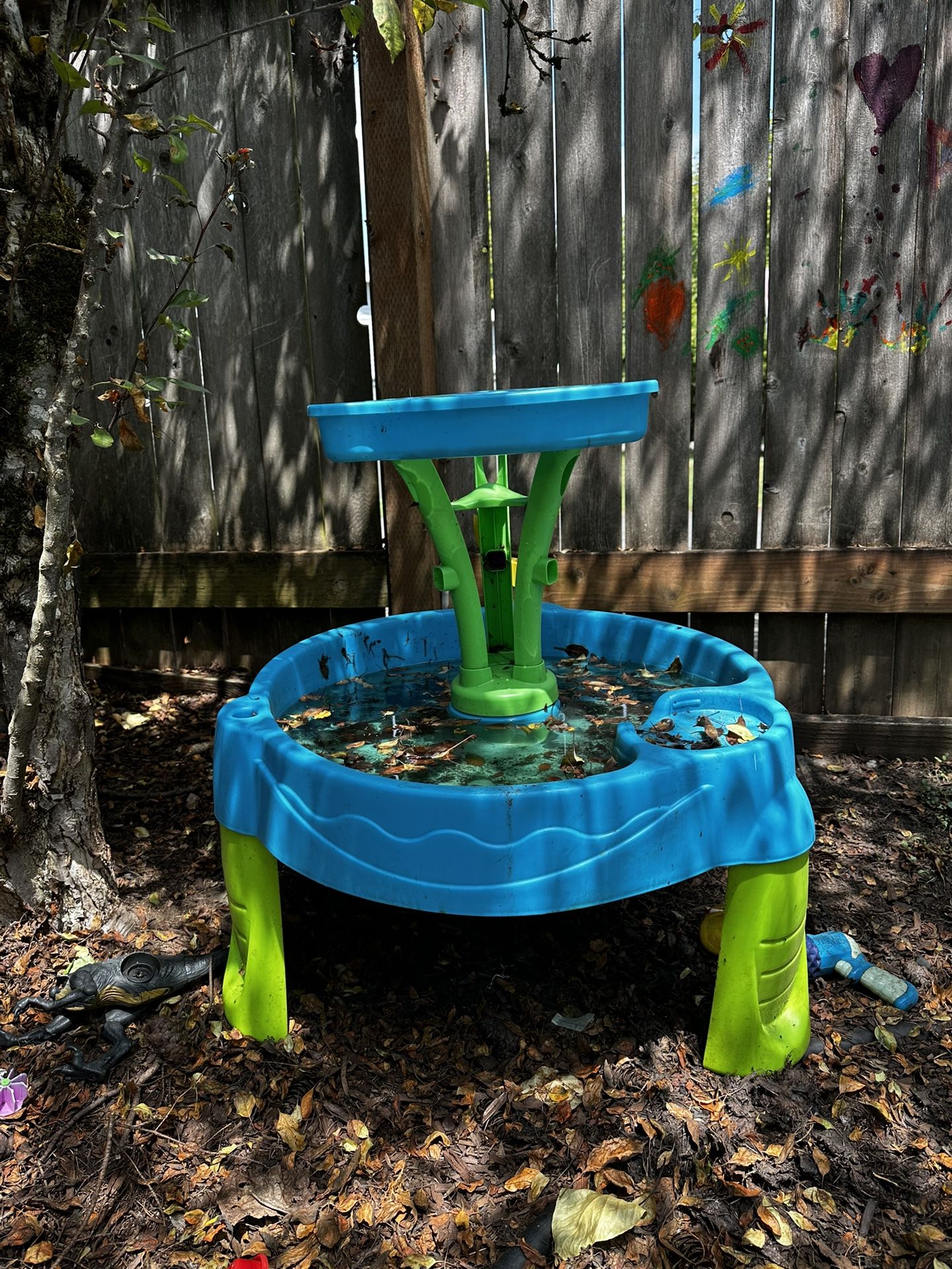 Water Table