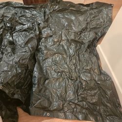 Tarp
