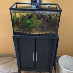 Aquarium Fish Tank 